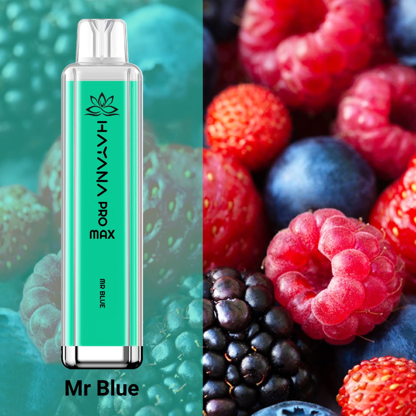 HAYANA PRO MAX 4000 PUFFS PREMIUM VAPE BAR. 0 MG TPD Complaint.